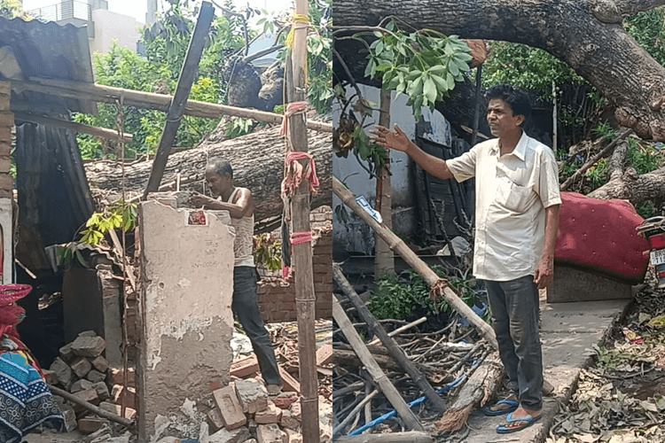 पटना के कन्हैया नगर में विशाल पेड़ गिरने से मकान क्षतिग्रस्त, चार दिन बाद भी प्रशासन ने नहीं लिया संज्ञान