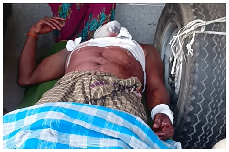 Bagaha News: बगहा में भालू का जानलेवा हमला, खेत में काम कर रहे किसान को किया लहूलुहान, हालत नाजुक