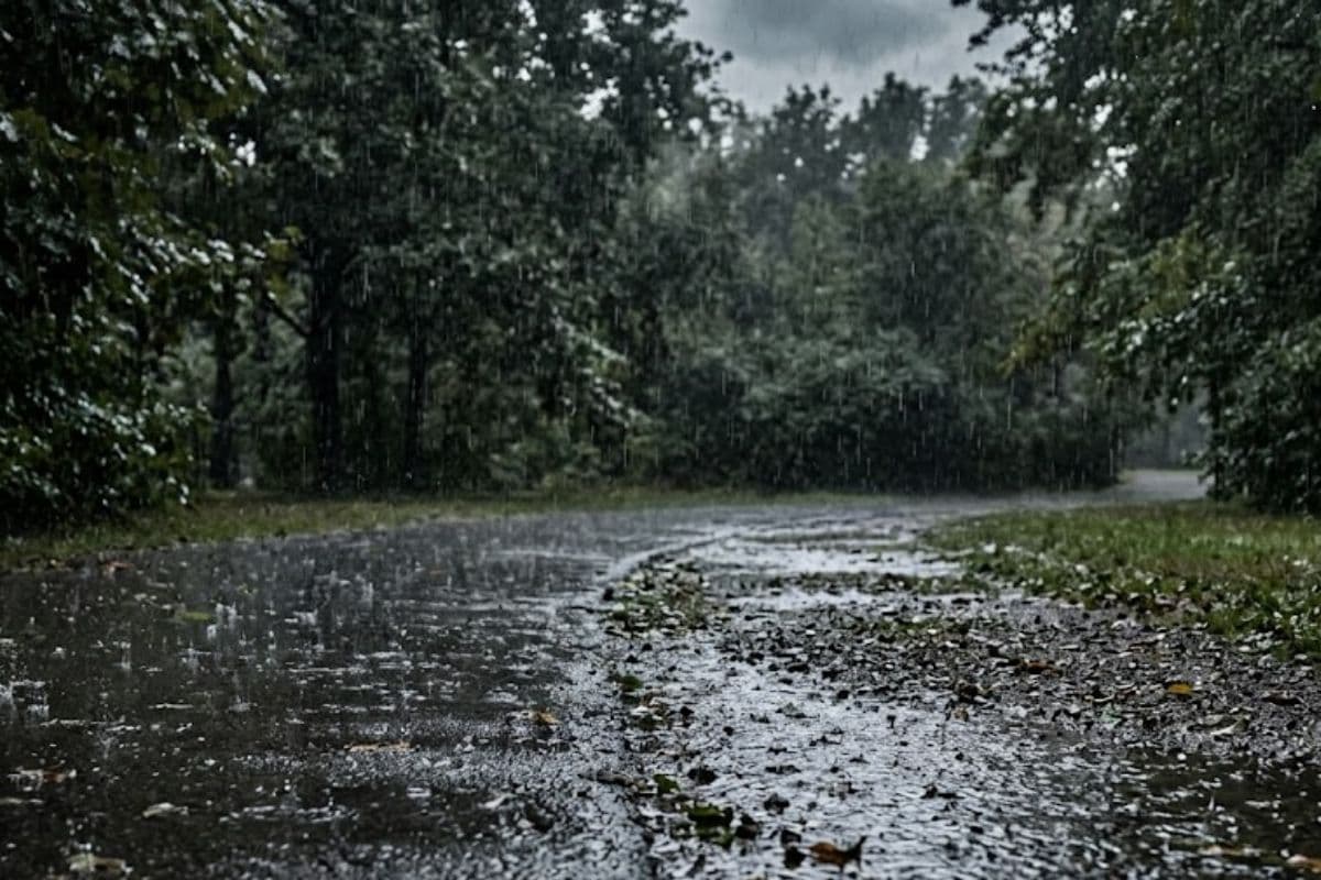 झारखंड के इन जिलों में आंधी-बारिश के आसार, ऑरेंज अलर्ट जारी