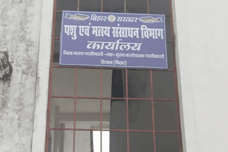 सीवान में मोती एवं झींगा पालन के लिए मिलेंगे 60 प्रतिशत अनुदान, जानिए कैसे लें लाभ