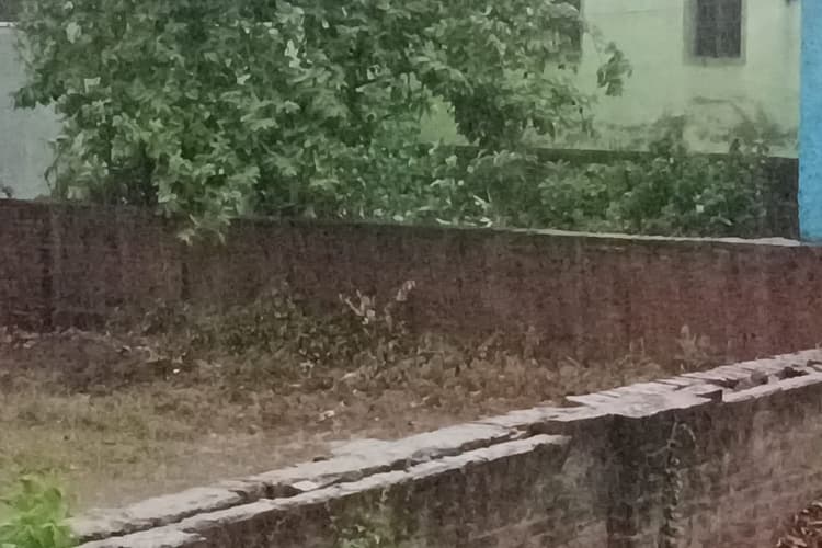 Weather Update: बक्सर में आंधी-तूफान के साथ मूसलाधार बारिश से तापमान में भारी गिरावट, कई इलाकों में बिजली और यातायात प्रभावित