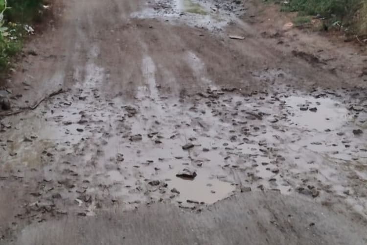 भोजपुर के पीरो रेलवे स्टेशन जाने वाली सड़क बदहाल, गड्ढों में तब्दील रास्ते से सफर हुआ खतरनाक