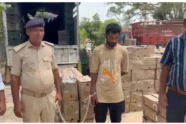 बक्सर में आम की टोकरियों से निकली 34 लाख की विदेशी शराब, ट्रक समेत हिमाचल का चालक गिरफ्तार