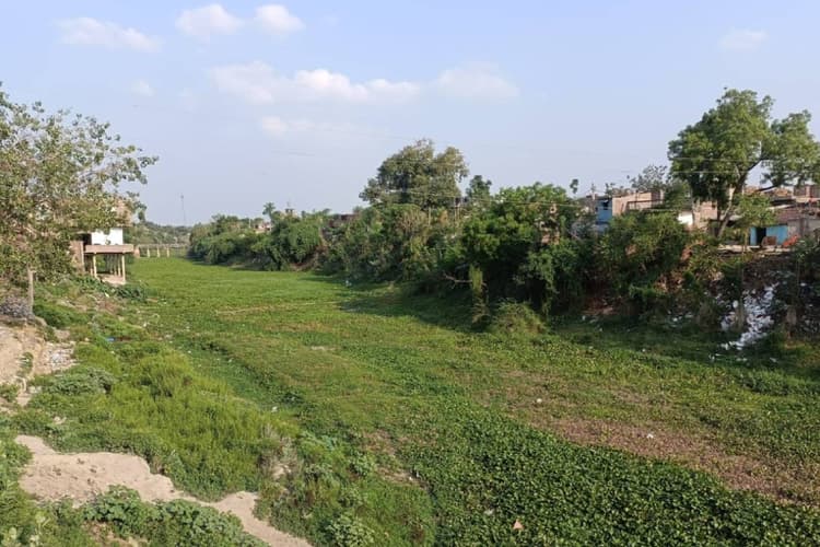 बखरी में अतिक्रमण की मार से सिकुड़ रही छोटी बागमती, नदी की जमीन पर बने मकान, अस्तित्व पर मंडराया संकट