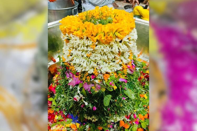 Aaj Ka Darshan: मंगलवार को उमड़ी भक्तों की भारी भीड़, जानें दोपहर और शाम को कपाट बंद रहने की टाइमिंग