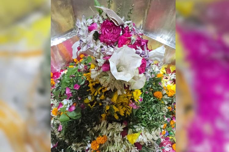 Aaj Ka Darshan: फूलों से सजे बाबा गरीबनाथ, दर्शन को उमड़ी भक्तों की भीड़