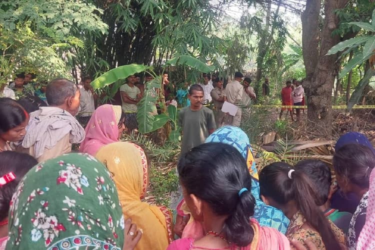 बेगूसराय में पेड़ से लटका मिला युवक का शव, संदिग्ध परिस्थितियों में मौत से सनसनी
