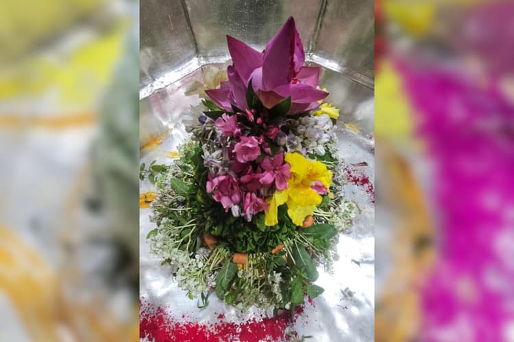 Aaj Ka Darshan: सोमवार को फूलों से हुआ बाबा का भव्य शृंगार, दर्शन के लिए उमड़ी श्रद्धालुओं की भारी भीड़