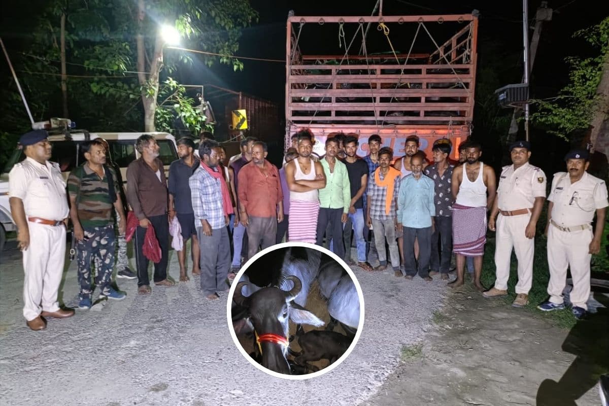 Muzaffarpur News: पशु तस्करों पर फकुली पुलिस का बड़ा एक्शन, 3 ट्रकों से 60 मवेशी मुक्त, यूपी के 22 अंतरराज्यीय तस्कर गिरफ्तार