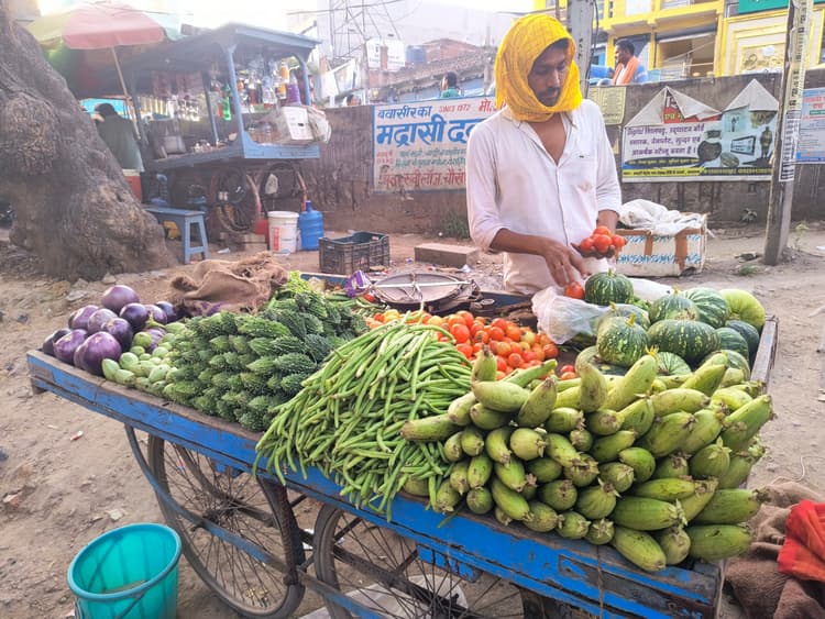 आज का मंडी भाव: अद्रा से पहले बाजारों में जामुन की दस्तक, खाद्य सामग्रियों के दाम में उतार-चढ़ाव
