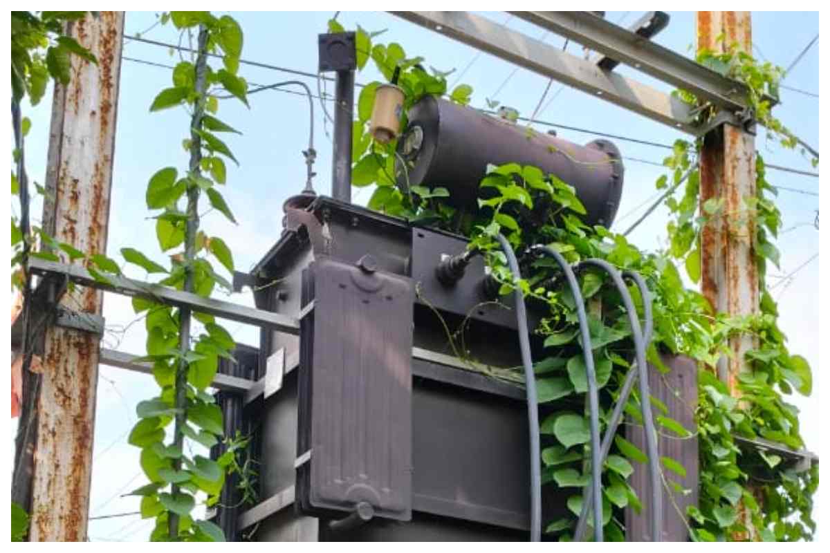 Bagaha News -harnatand-valmikinagar-power-house-electricity-maintenance-shut-down-je-w-mahto Bagaha News -harnatand-valmikinagar-power-house-electricity-maintenance-shut-down-je-w-mahto