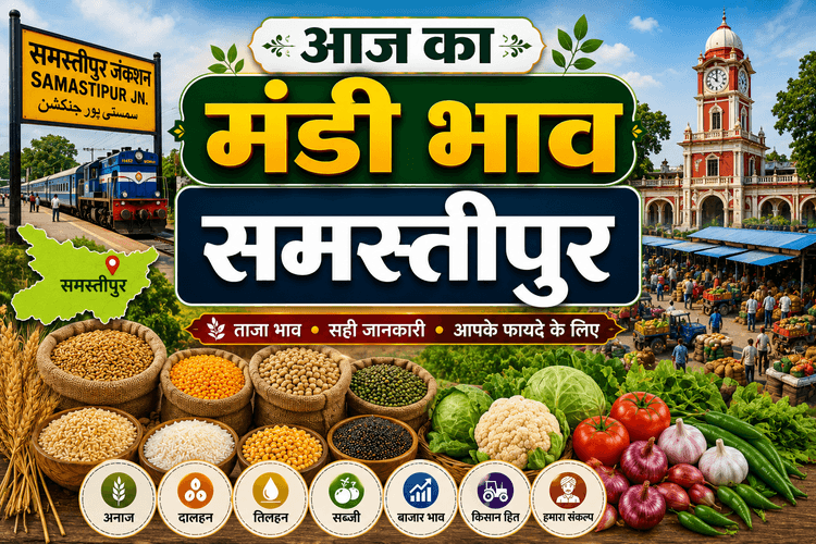 दाल, चावल और खाद्य तेल के ताजा भाव जारी, जानें 20 जून का बाजार अपडेट