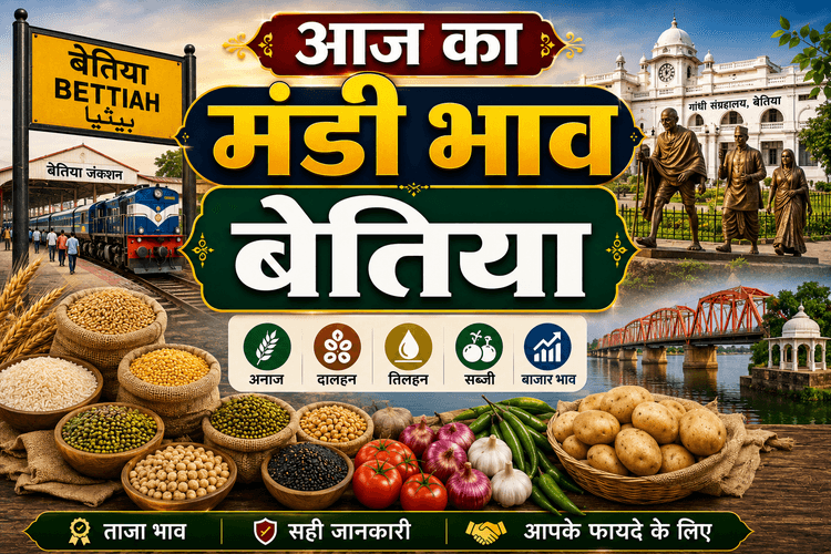सब्जियों से लेकर दाल और अनाज तक के ताजा रेट, जानें 22 जून का बाजार भाव