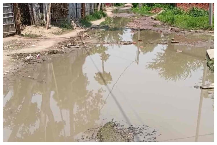 दरभंगा: कागजों में सड़क तैयार,जमीन पर दलदल, ग्रामीणों का फूटा गुस्सा