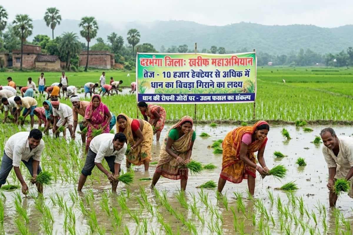 दरभंगा: खरीफ महाअभियान तेज, 10 हजार हेक्टेयर से अधिक में धान का बिचड़ा गिराने का लक्ष्य