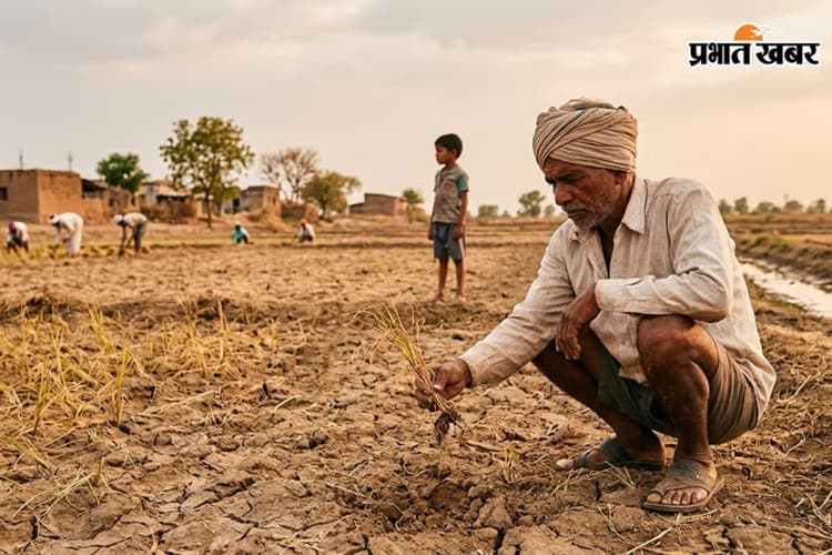 धान से दाल तक पर खतरा, देश के 200 जिलों पर अल नीनो का असर; मानसून पर IMD की बड़ी चेतावनी