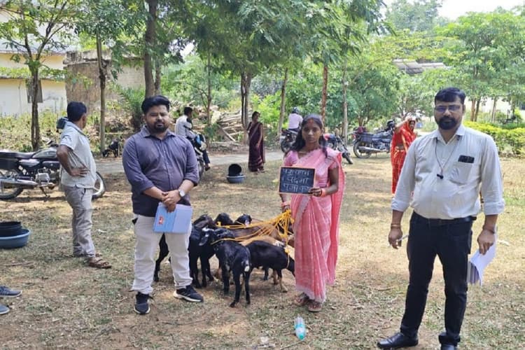 हजारीबाग में 578 समूहों को मिलेगा बकरा, अब तक 225 समूह हो चुके हैं लाभान्वित