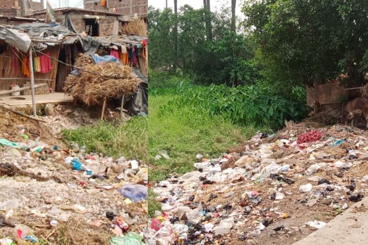 पटना के दानापुर का ऐतिहासिक तालाब बन रहा कूड़ेदान, अतिक्रमण और गंदगी से अस्तित्व पर संकट