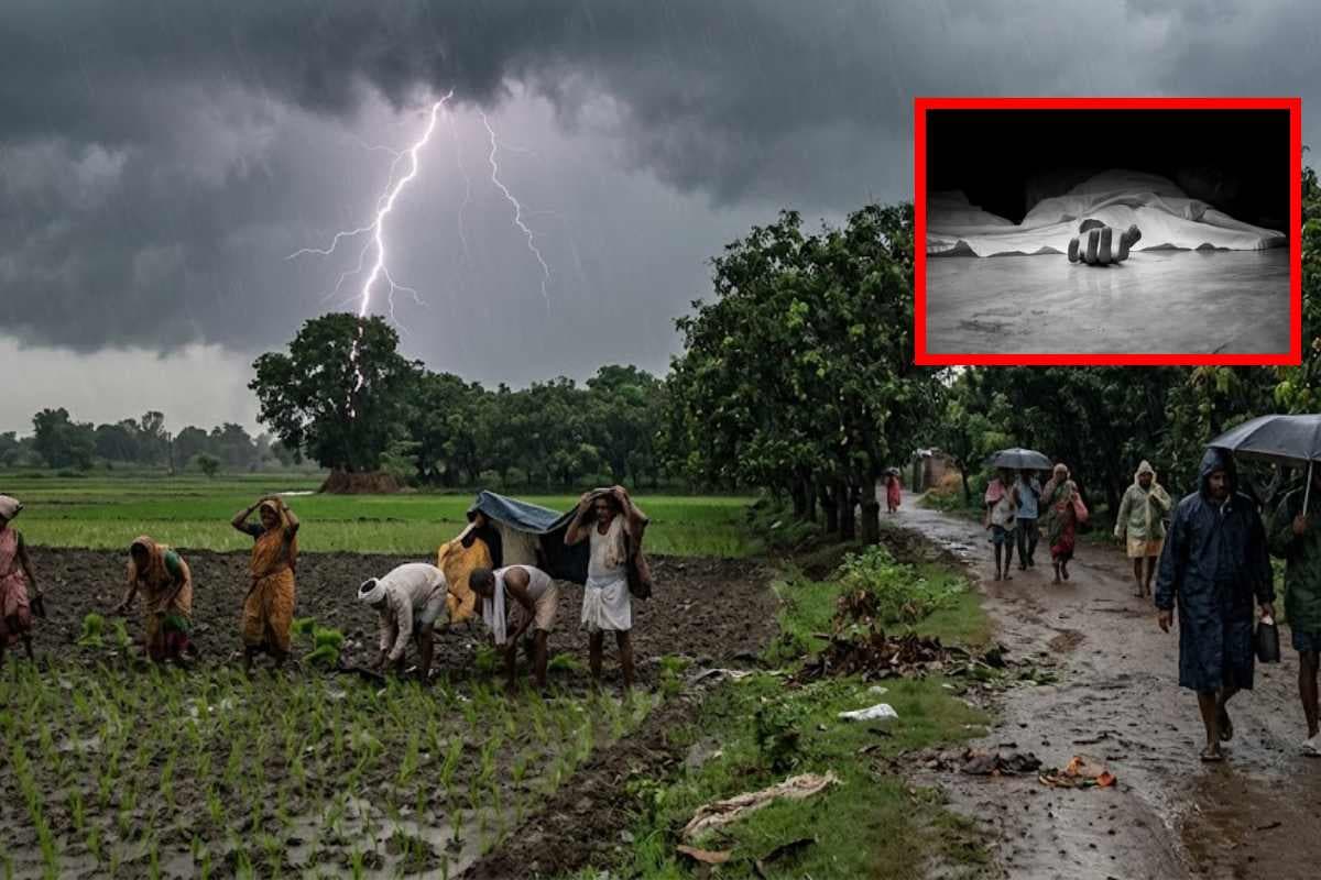 Lightning Strike Death Parihar lightning strike one woman died several injured during paddy plantation Lightning Strike Death Parihar lightning strike one woman died several injured during paddy plantation