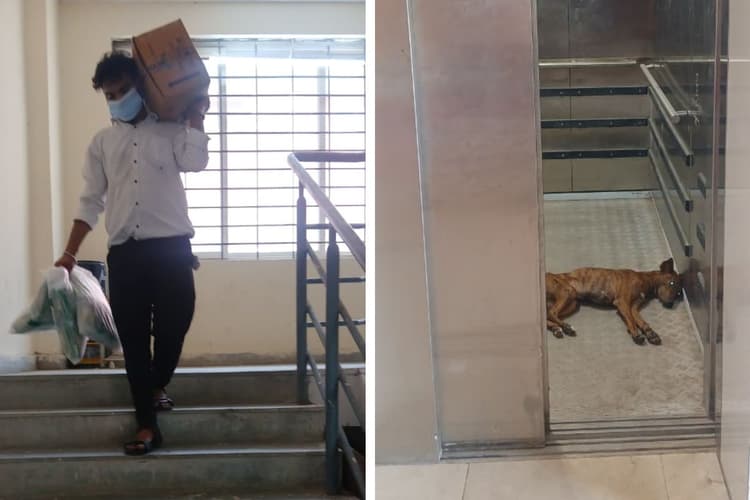 कर्मी कंधे पर दवाई ढोने को मजबूर, MGM अस्पताल के खराब लिफ्ट में आराम फरमा रहे आवारा कुत्ते