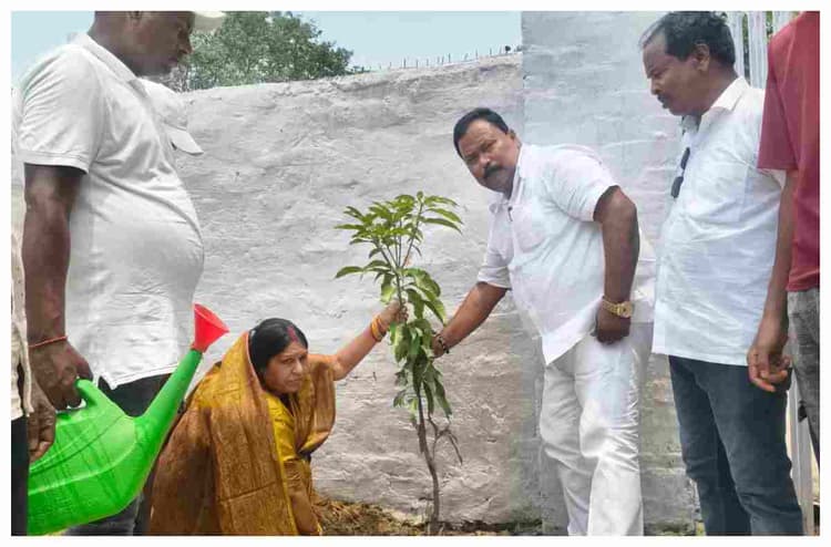 मधुबनी: धर्मडीहा पंचायत में 100 यूनिट पौधारोपण का फैसला, जल संरक्षण पर जोर