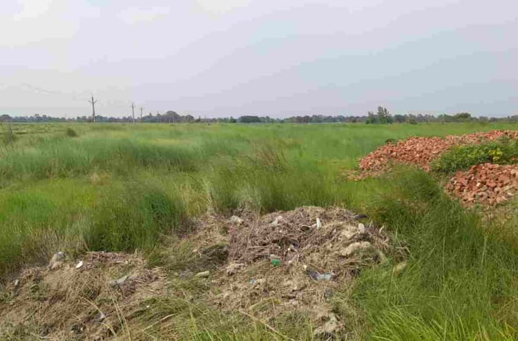 मधुबनी: अवैध मिट्टी कटाई से घट रही उपज, किसानों ने प्रशासन से लगाई गुहार