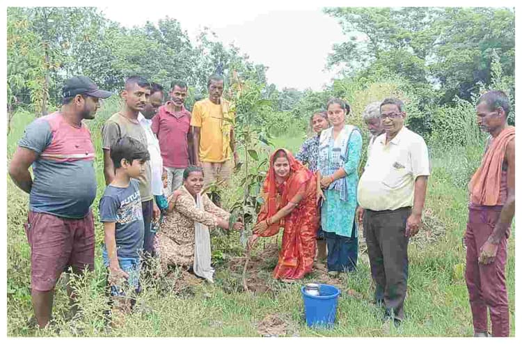 मधुबनी में पर्यावरण दिवस पर वृक्षारोपण, ग्रामीणों ने लिया हरियाली का संकल्प