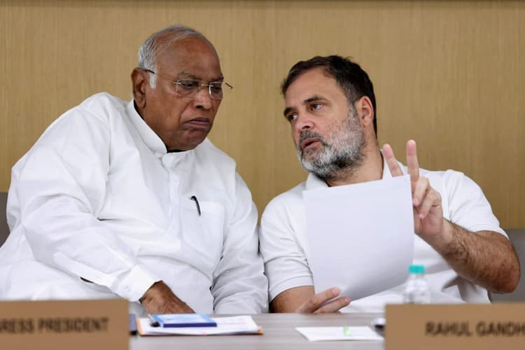 राहुल गांधी का दावा, INDIA गठबंधन 2029 का चुनाव जीत चुका है; विपक्षी एकजुटता की मांग की