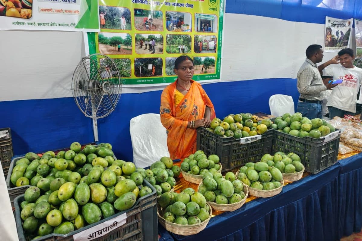 Mango Festival: नाबार्ड के महोत्सव में मिल रहे ऑर्गेनिक आम, 21 जून तक सजा रहेगा बाजार