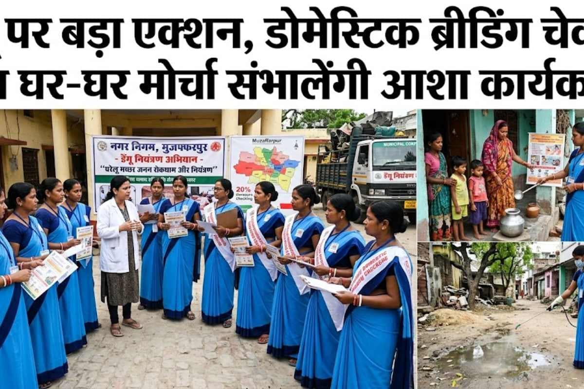मुजफ्फरपुर : डेंगू पर बड़ा एक्शन, डोमेस्टिक ब्रीडिंग चेकर्स बन घर-घर मोर्चा संभालेंगी आशा कार्यकर्ता