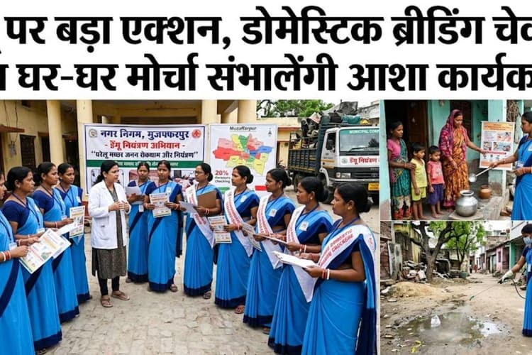 मुजफ्फरपुर : डेंगू पर बड़ा एक्शन, डोमेस्टिक ब्रीडिंग चेकर्स बन घर-घर मोर्चा संभालेंगी आशा कार्यकर्ता