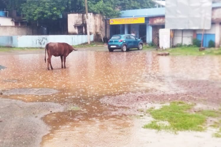 नोवामुंडी में बदला मौसम का मिजाज, झमाझम बारिश से लोगों को मिली गर्मी से राहत
