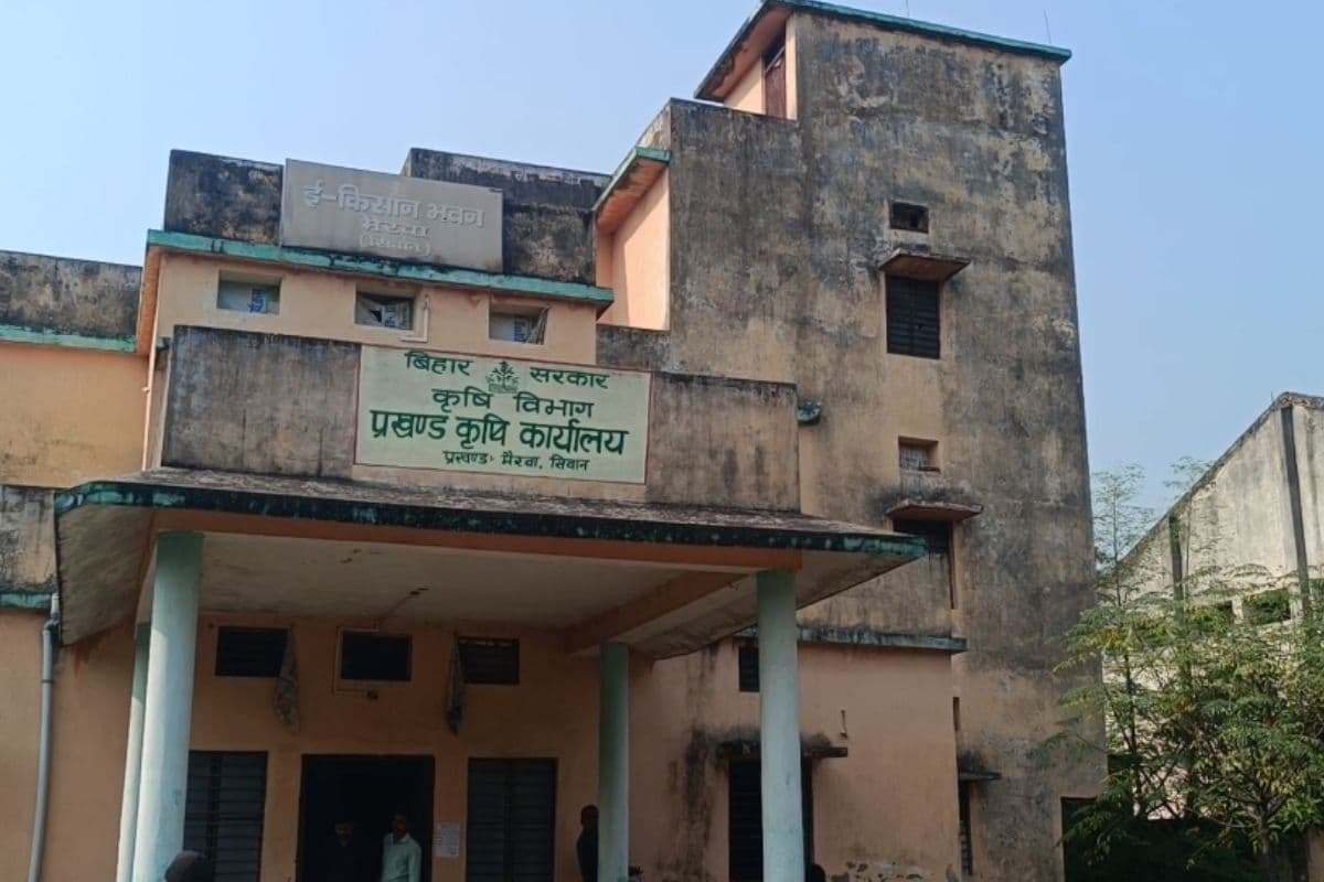 सीवान में बिचड़ा डालने का समय बीता, सरकारी बीज न मिलने से महंगे दाम पर खरीदने को मजबूर किसान