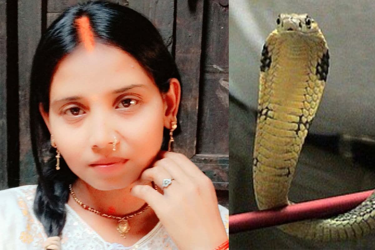 गया जी में 2 बच्चों की मां को सांप ने काटा, ओझा के पास ले गए परिजन, लापरवाही में गई जान