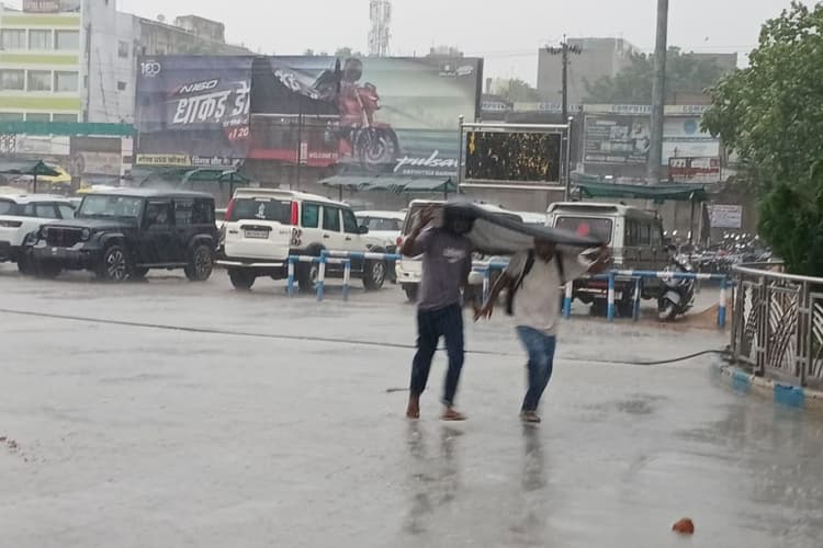 सीवान में तेज आंधी-बारिश में कई पेड़ गिरे, जलजमाव ने बढ़ाई परेशानी, बिजली आपूर्ति भी ठप