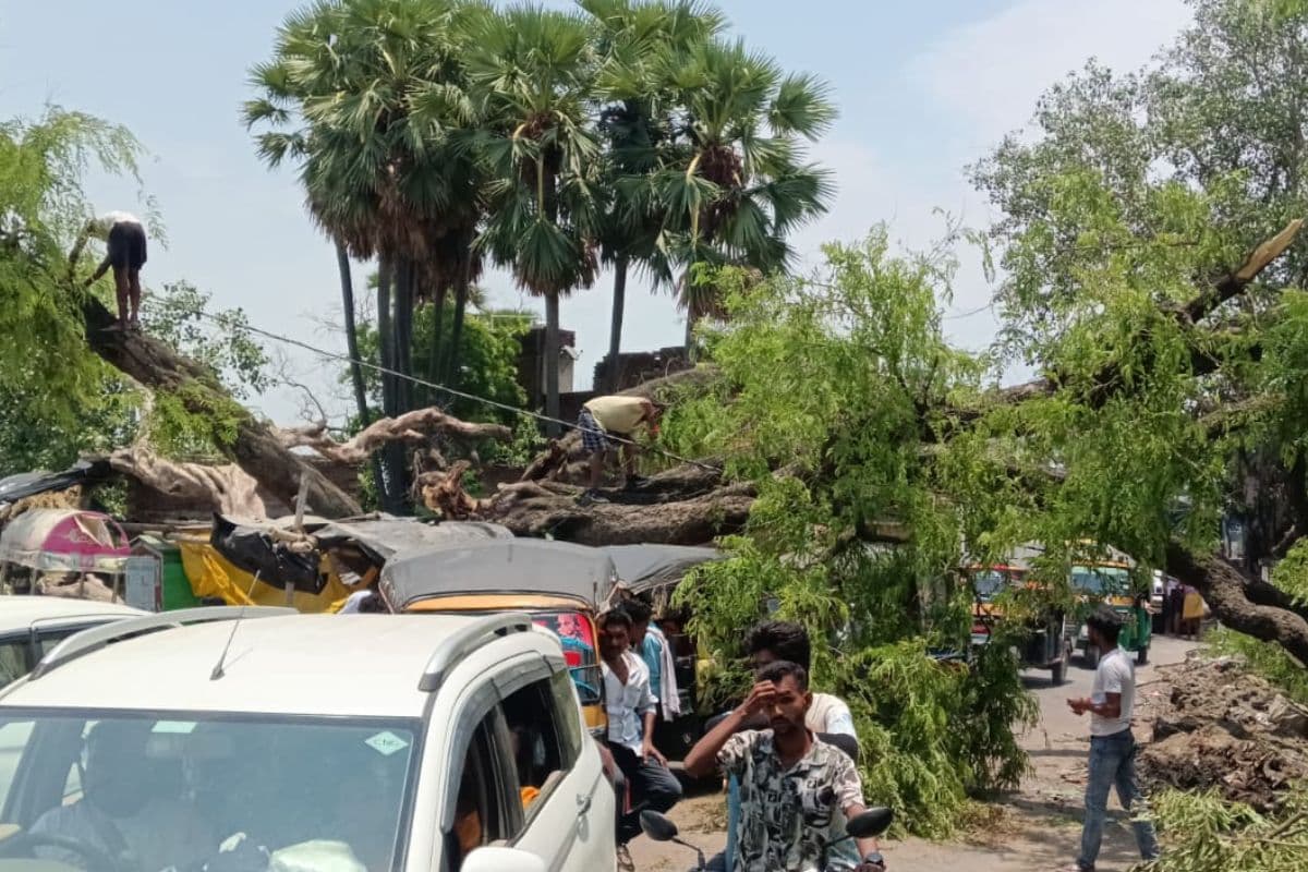 गया जी में तेज आंधी तूफान में बीच सड़क पर गिरा विशाल पेड़, घंटों जाम में फंसे वाहन, बिजली आपूर्ति भी ठप