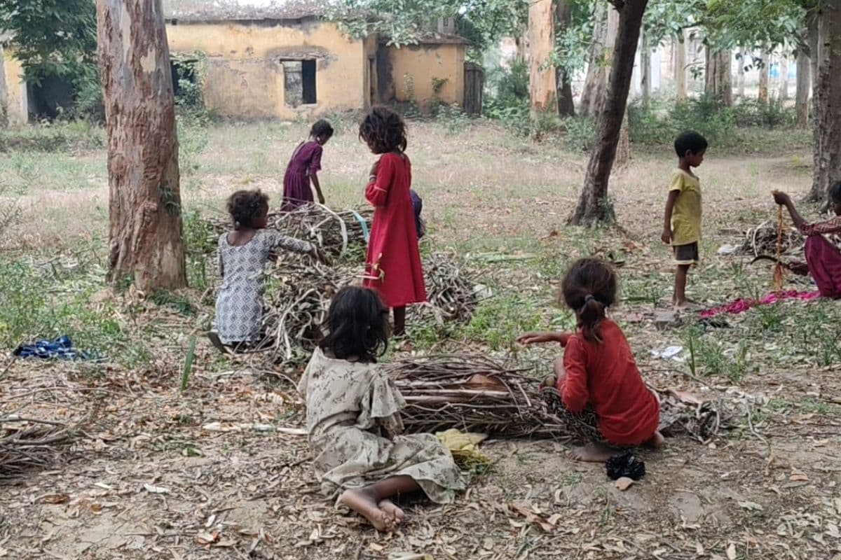 गयाजी में गरीबी की मार, नन्हे कंधों पर घर की जिम्मेदारी, लकड़ी चुनकर चूल्हा जलाने को मजबूर बच्चियां
