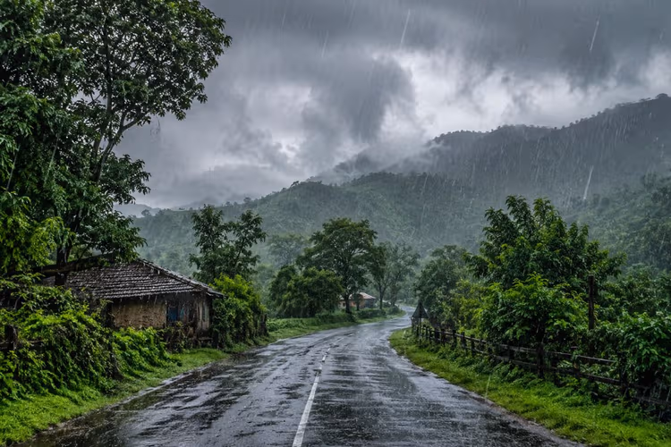 बिहार में मानसून को लेकर बड़ा अपडेट, जानिए कब होगी बारिश की एंट्री, किन जिलों में सबसे पहले बरसेंगे बादल