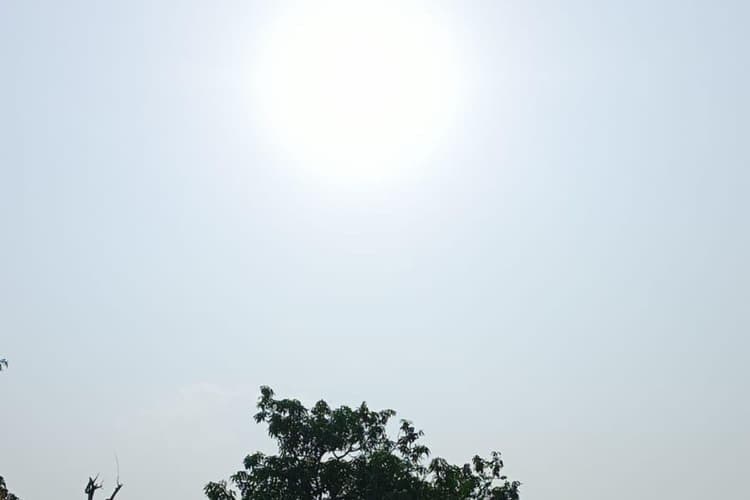 पूर्णिया का मौसम आज रहेगा गर्म और शुष्क, 37 डिग्री के पार जा सकता है पारा