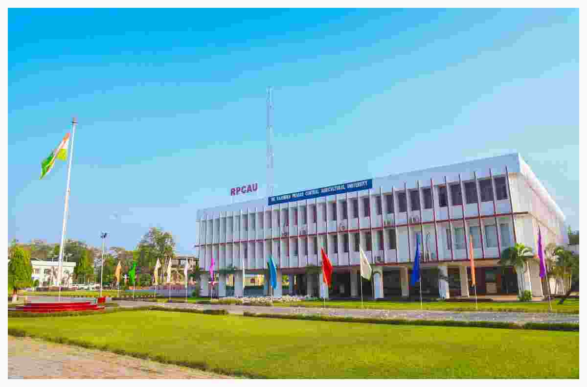 Samastipur News monsoon-farming-advisory-pusa-agriculture-university-guidelines-for-farmers Samastipur News monsoon-farming-advisory-pusa-agriculture-university-guidelines-for-farmers