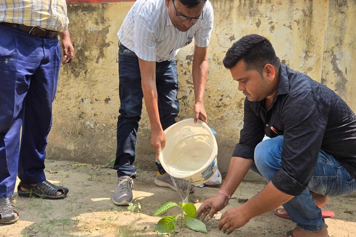 शिवहर: एक पेड़ मां के नाम, डुमरी कटसरी में बीडीओ ने शुरू किया अभियान