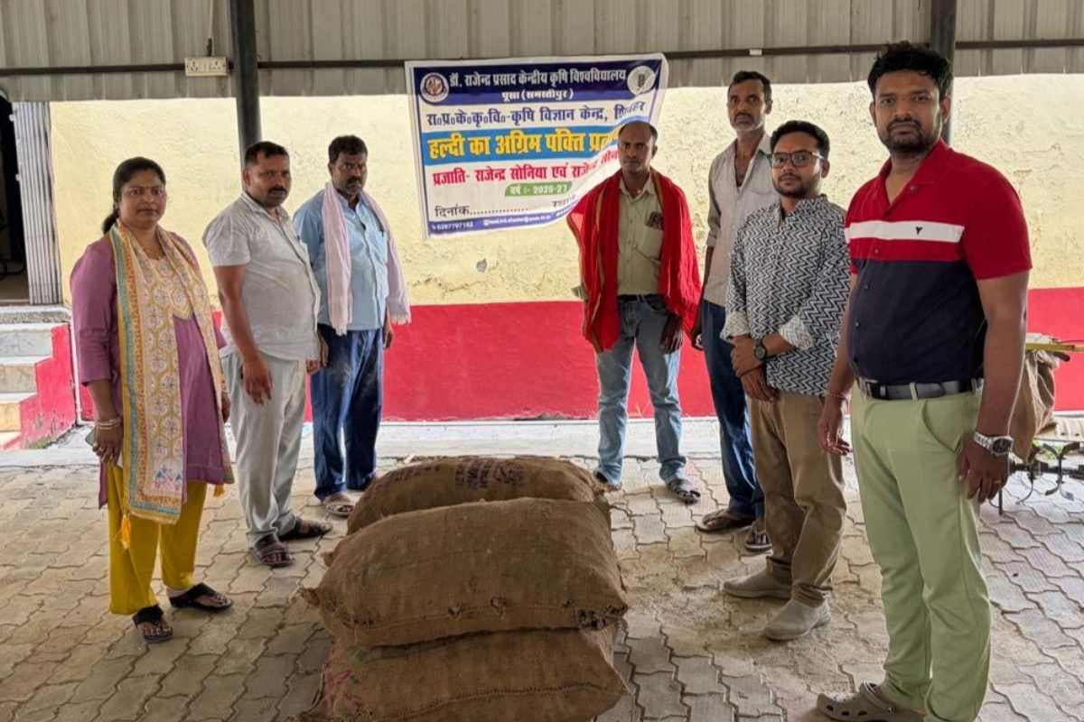 शिवहर: फलदार बगीचों में हल्दी की खेती से कमाएं दोगुना मुनाफा, कृषि विज्ञान केंद्र ने दी नई तकनीक