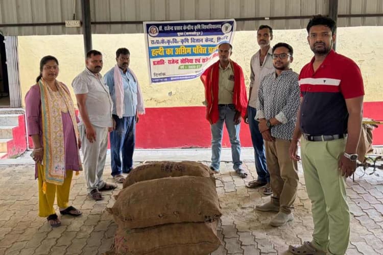 शिवहर: फलदार बगीचों में हल्दी की खेती से कमाएं दोगुना मुनाफा, कृषि विज्ञान केंद्र ने दी नई तकनीक