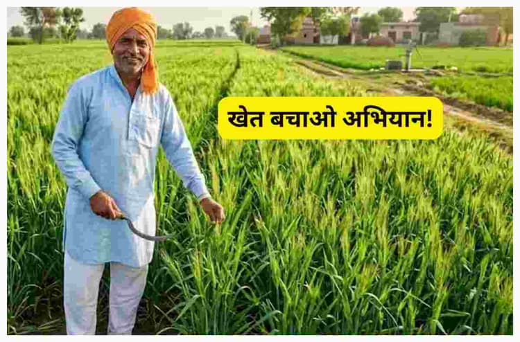 शिवहर में खेत बचाओ अभियान, किसानों को मिली आधुनिक खेती की जानकारी