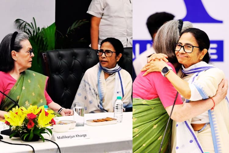तृणमूल का कांग्रेस में होगा विलय! सोनिया गांधी से मिलीं ममता बनर्जी, अभिषेक से राहुल की हुई मुलाकात
