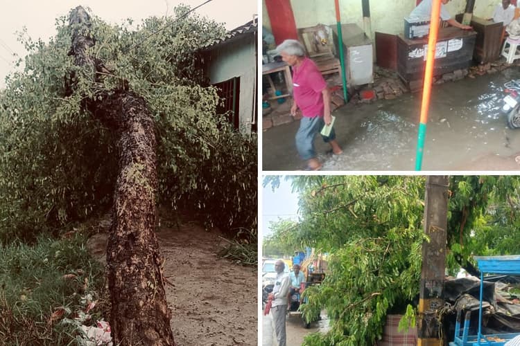 तेज आंधी-तूफान और बारिश से उखड़े पेड़, सड़क पर गिरे छप्पर और करकट