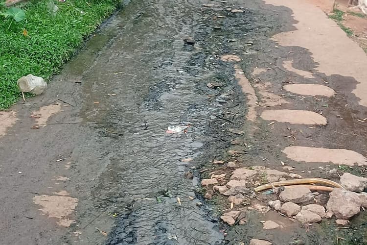 इस बार के पंचायत चुनाव में भलुआ गांव में जल निकासी और पेयजल संकट बनेगा मुद्दा