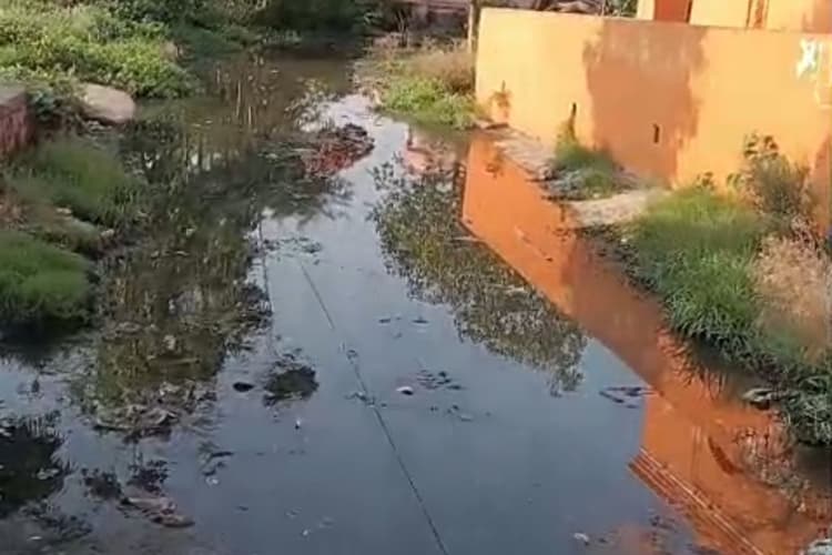 डुमरावां में जलजमाव से बेहाल ग्रामीण, सड़कें बनीं तालाब, जलजमाव से स्कूली बच्चों की बढ़ी परेशानी