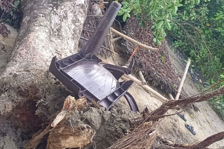 सारण: आफत की आंधी, बाजार से लौट रहे किसान पर गिरा महुआ का पेड़, मौत; दो अन्य घायल