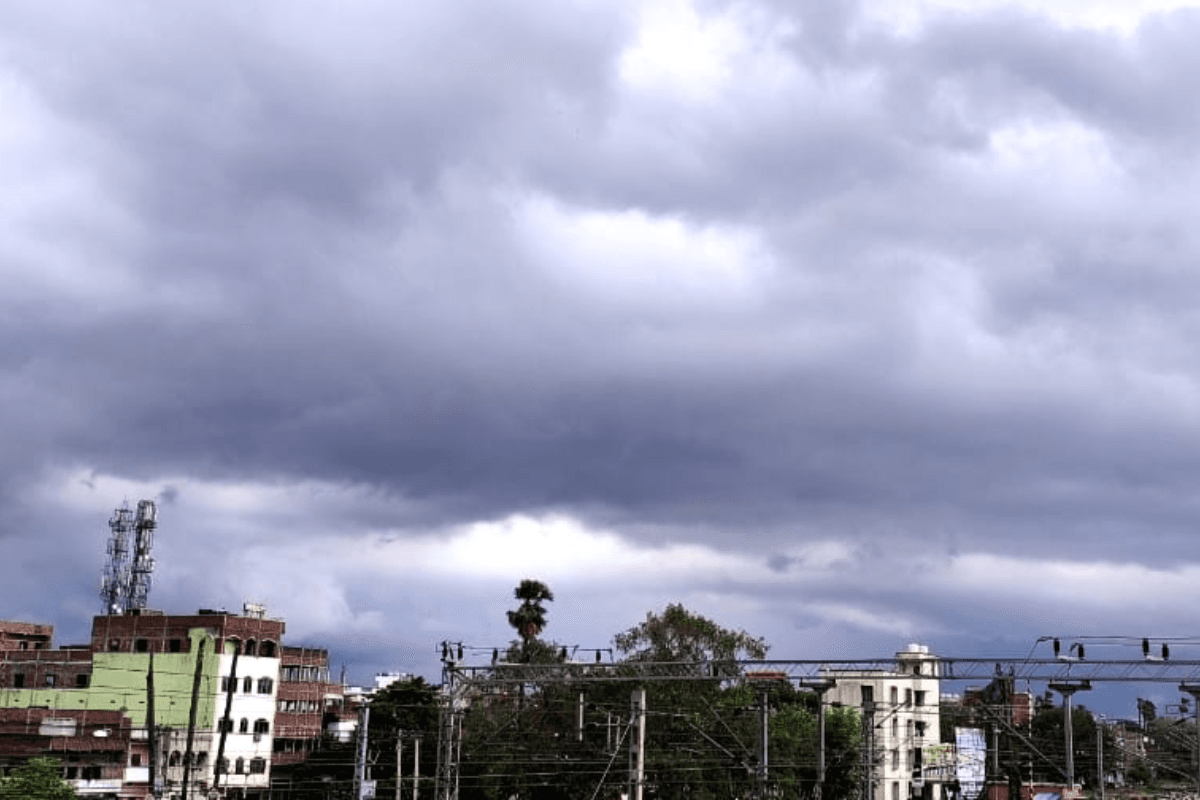 नवादा में मानसून की बेरुखी से धान की खेती पर संकट, खेतों में सूखा बिचड़ा; 30 जून से राहत के आसार